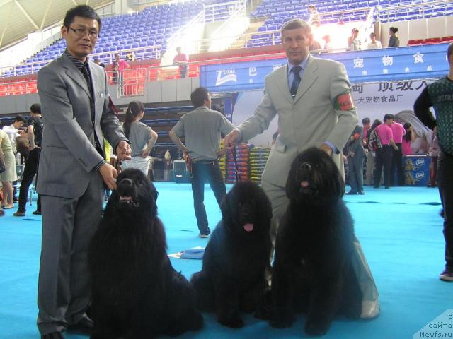 Фотография № 43343