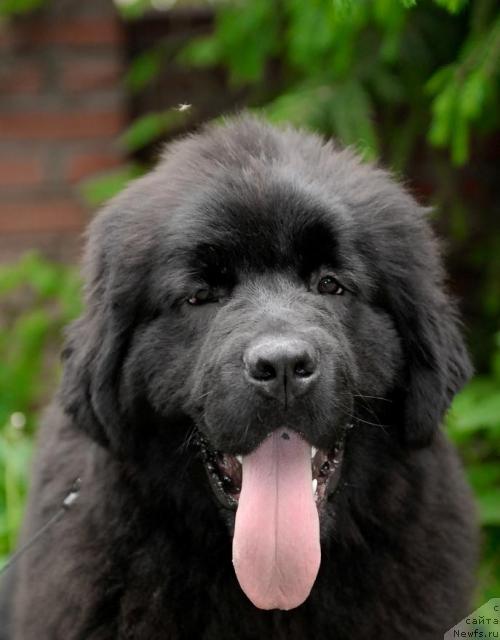 Фотография № 43356