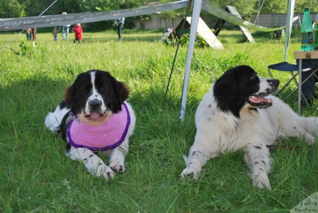 Фотография № 43364