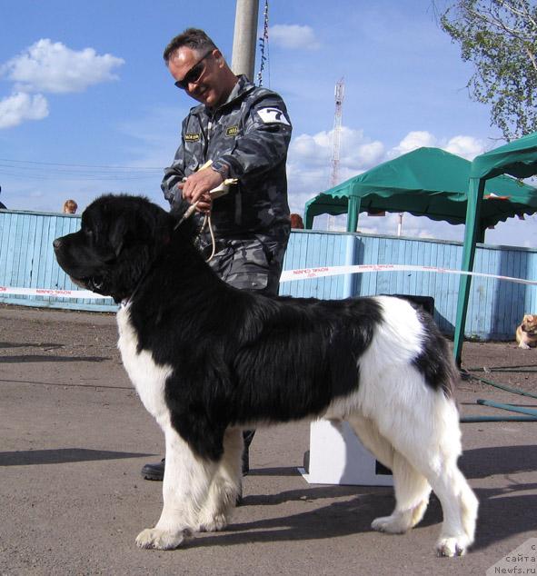 Фотография № 43369