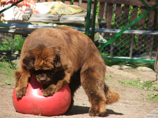 Фотография № 43370