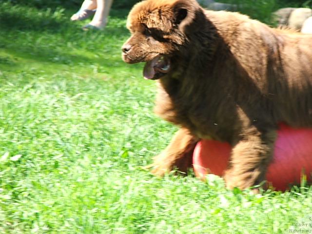 Фотография № 43373