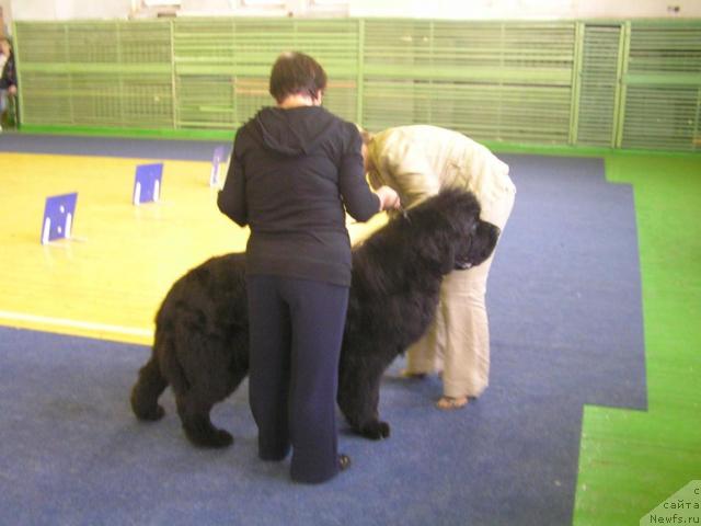 Фотография № 43378