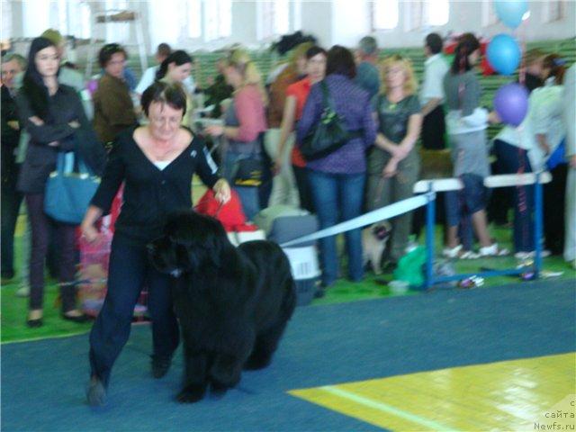 Фотография № 43379