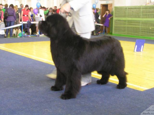 Фотография № 43382