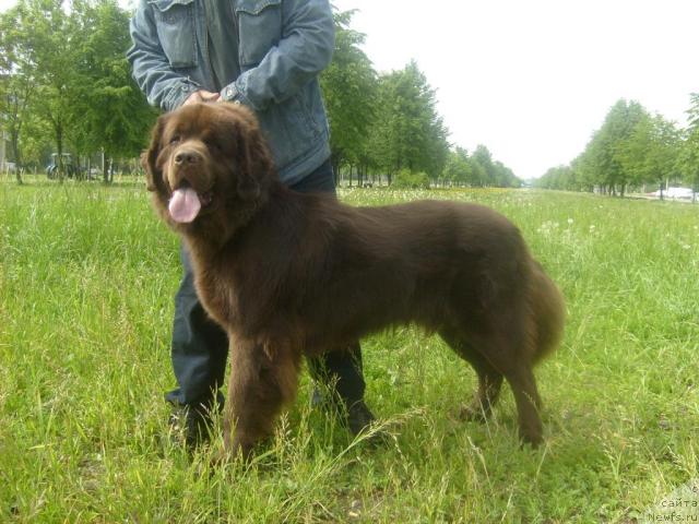 Фотография № 43384