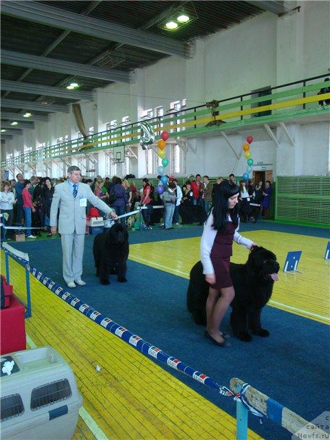 Фотография № 43386