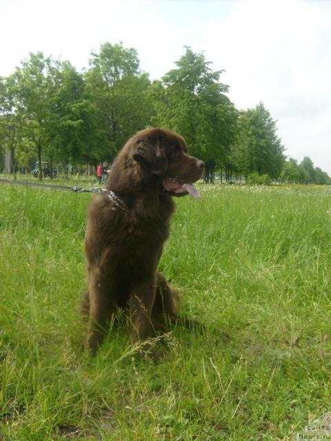 Фотография № 43387