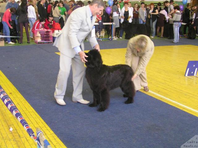 Фотография № 43388