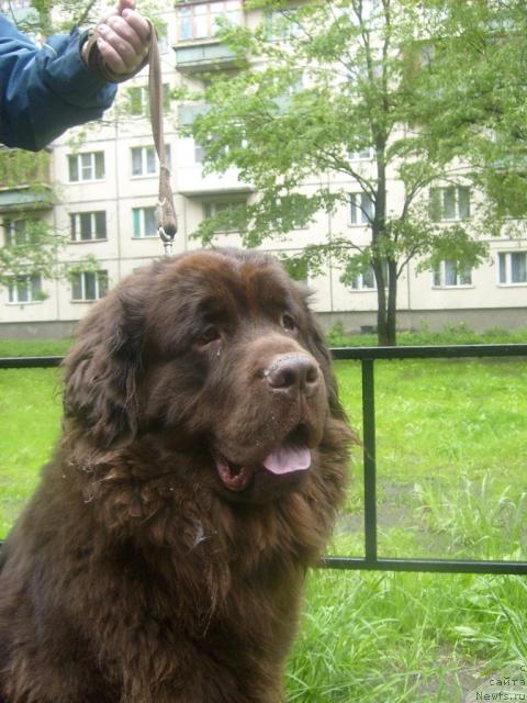 Фотография № 43389