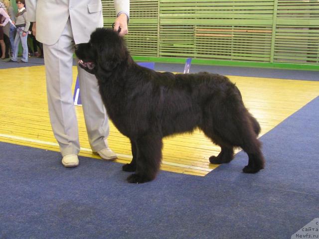 Фотография № 43390