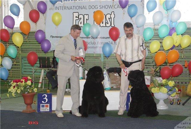 Фотография № 43391