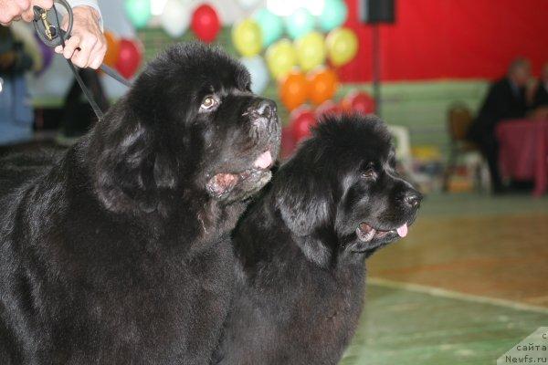 Фотография № 43394