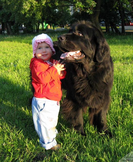 Фотография № 43395