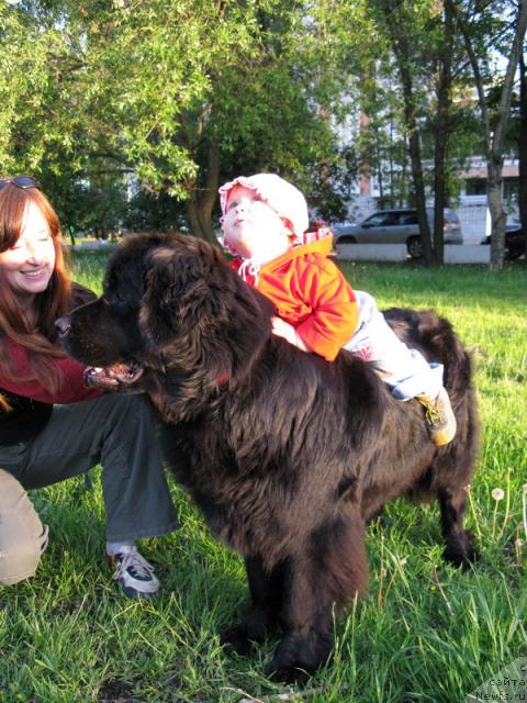 Фотография № 43397