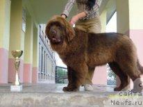 Фотография № 43429