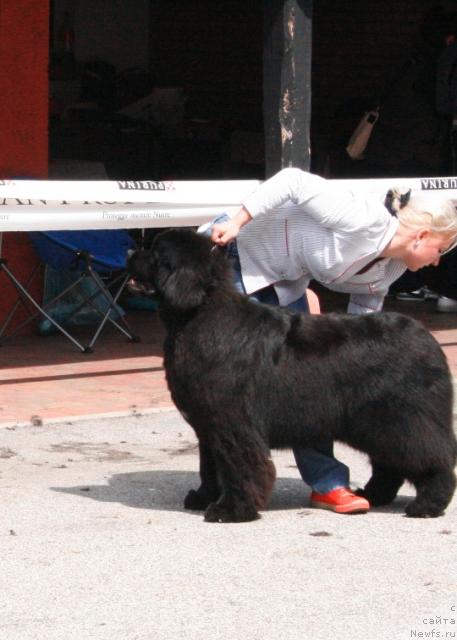 Фотография № 43440