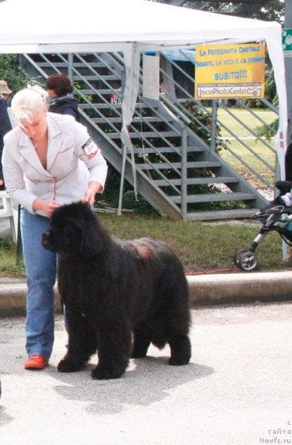 Фотография № 43441