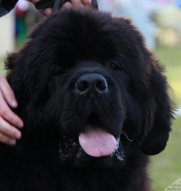 Фотография № 43468