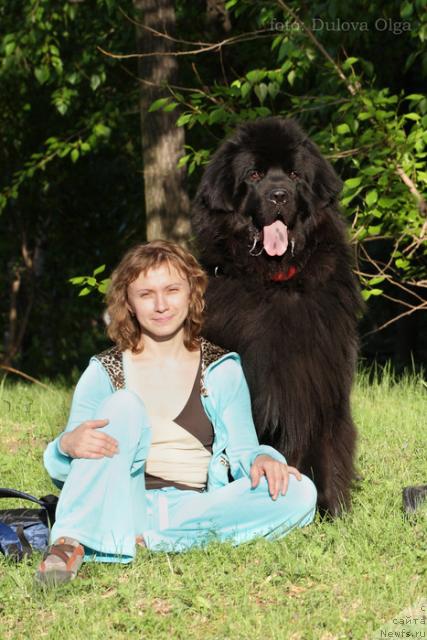 Фотография № 43530