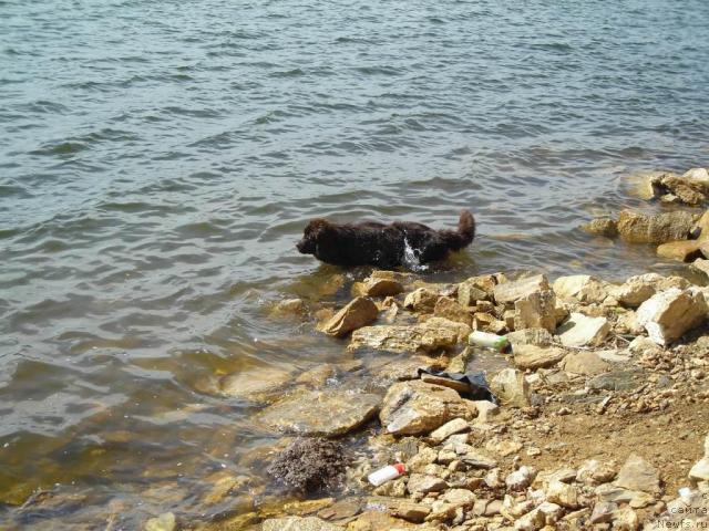 Фотография № 43560