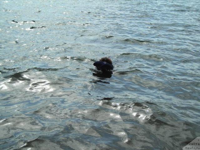 Фотография № 43565