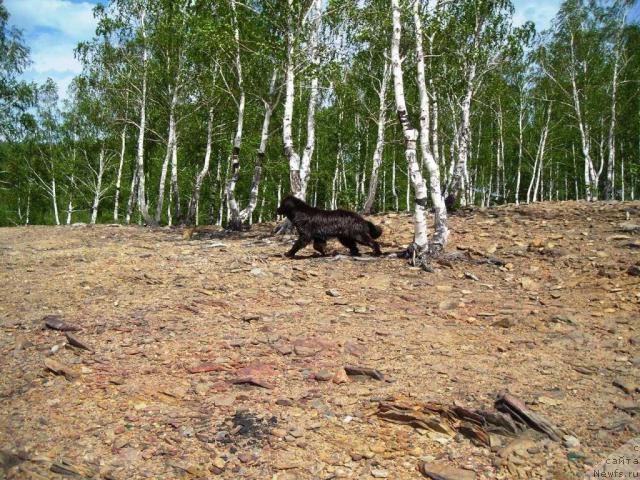 Фотография № 43568