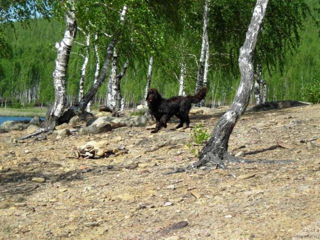 Фотография № 43569