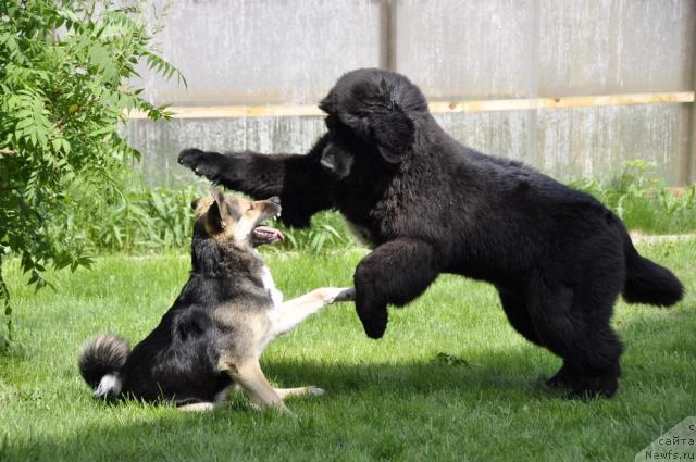 Фотография № 43585