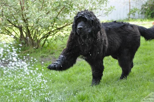 Фотография № 43586