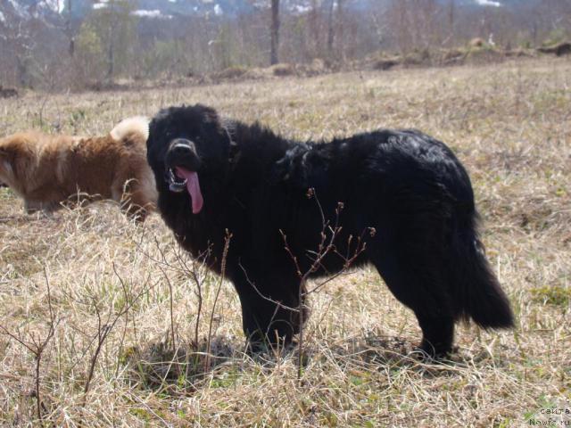 Фотография № 43588