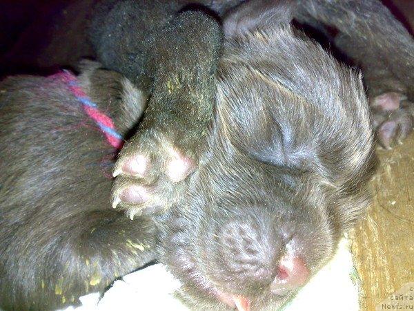 Фотография № 43592