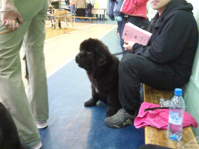 Фотография № 43599