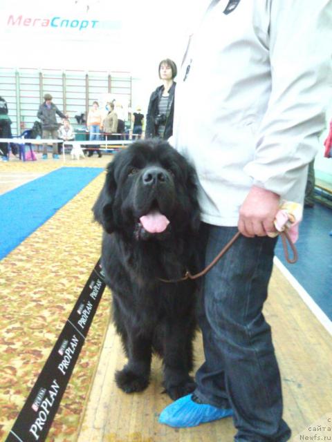 Фотография № 43600