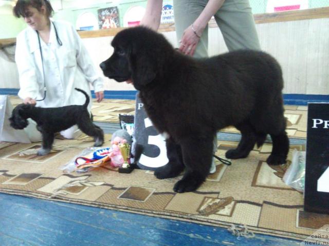 Фотография № 43602