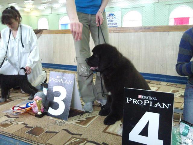 Фотография № 43603