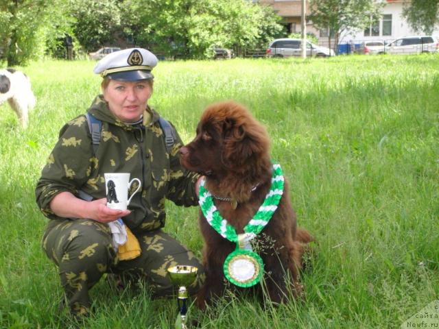 Фото: ньюфаундленд Ocharovashka s Berega Dona (Очаровашка с Берега Дона)