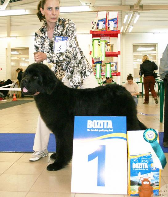 Фотография № 43655