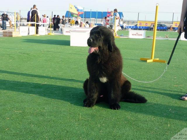 Фотография № 43658