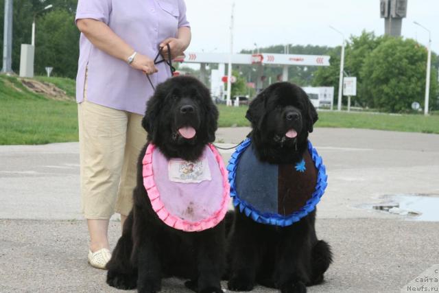 Фото: , [d 6719]