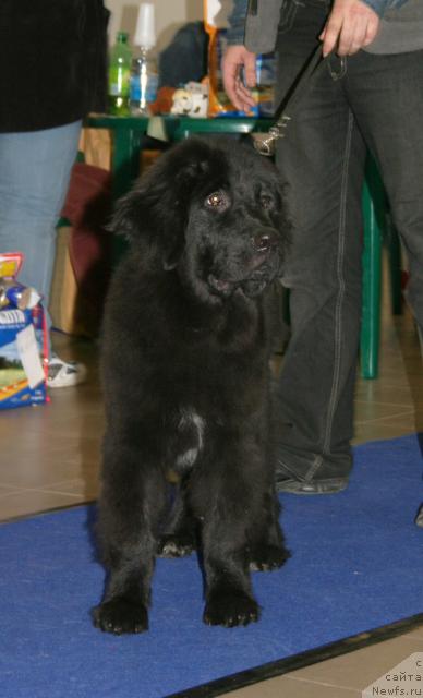 Фотография № 43681