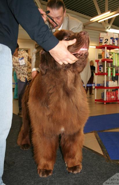 Фотография № 43682