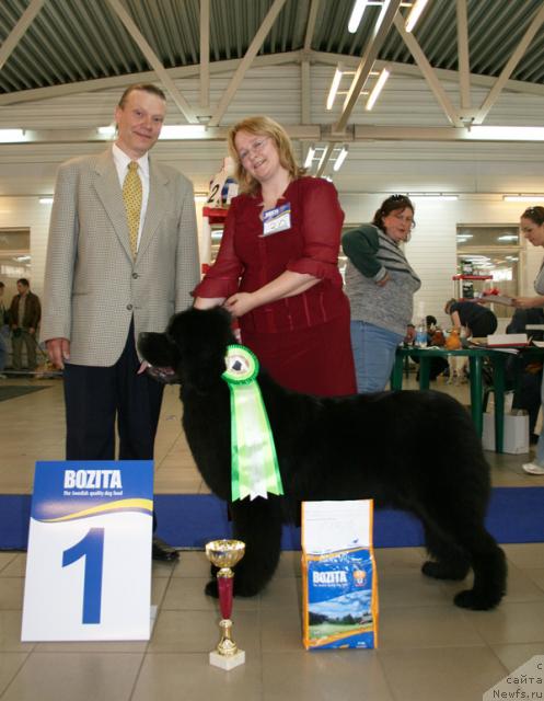 Фотография № 43683