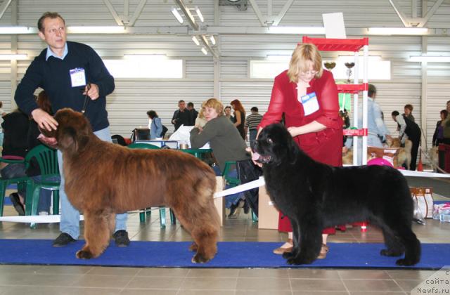 Фотография № 43684