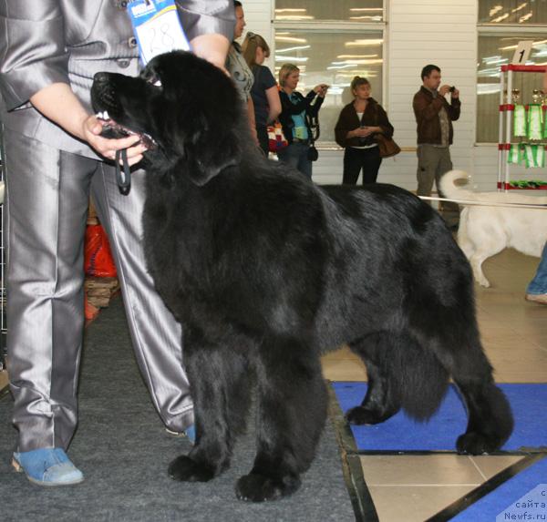 Фотография № 43686