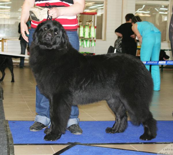 Фотография № 43687