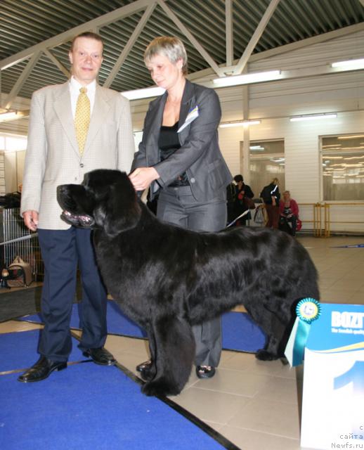 Фотография № 43688