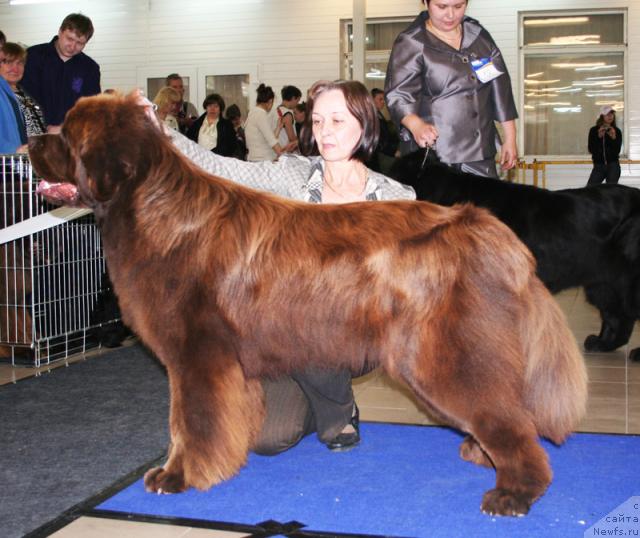 Фотография № 43691