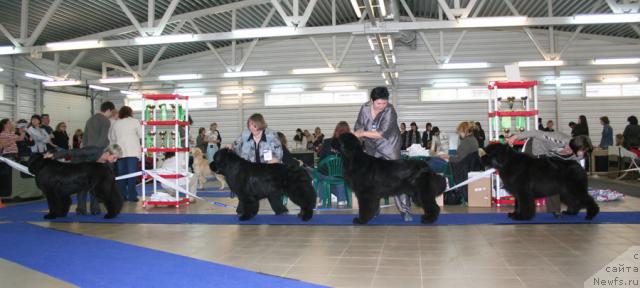 Фотография № 43695