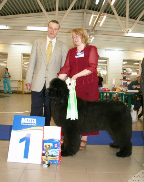 Фотография № 43696